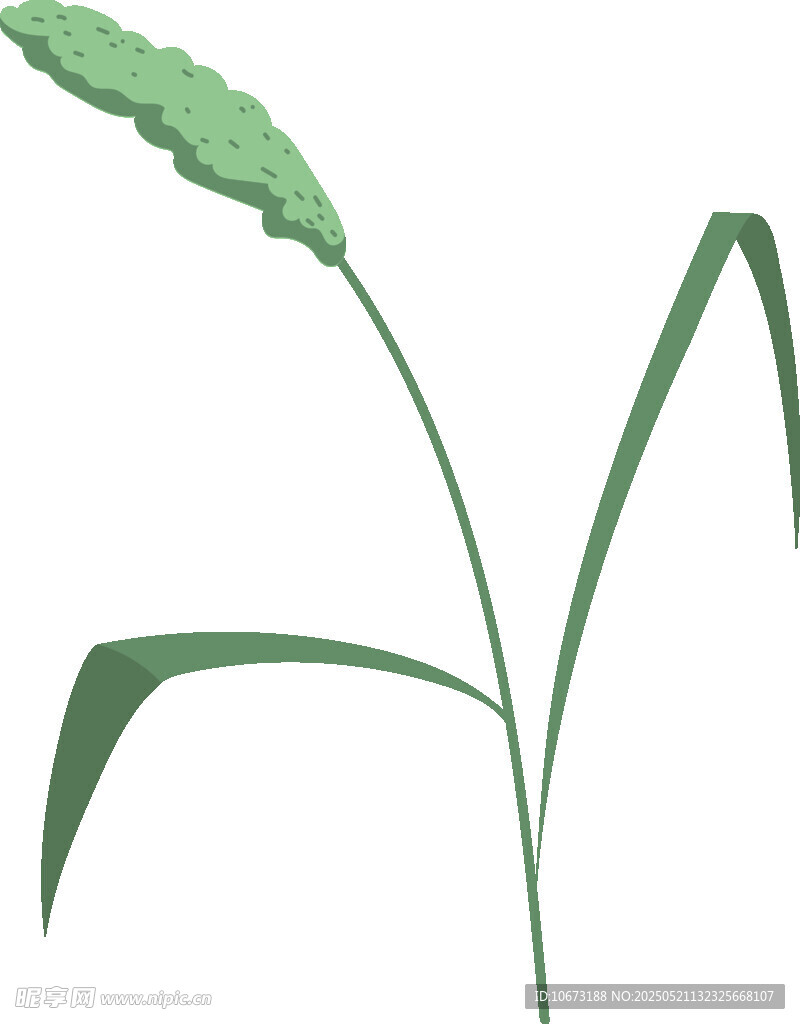 绿色麦穗植物插画