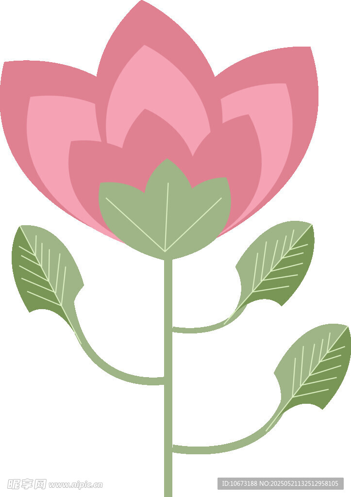 粉色莲花插画
