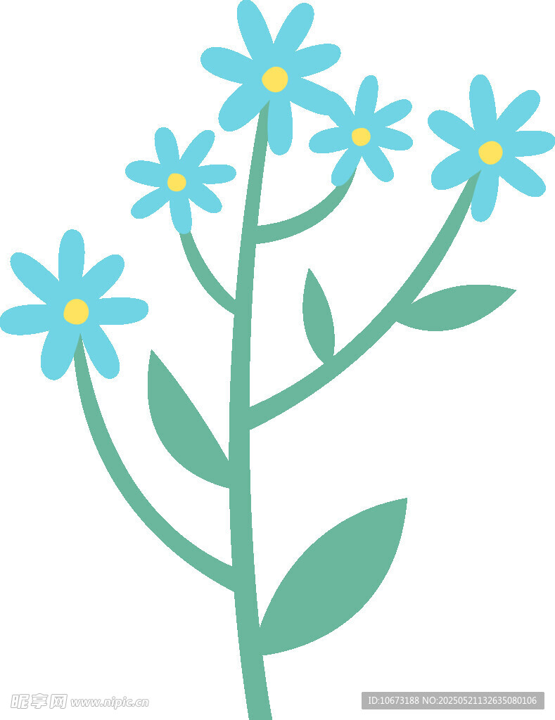 蓝色小花插画
