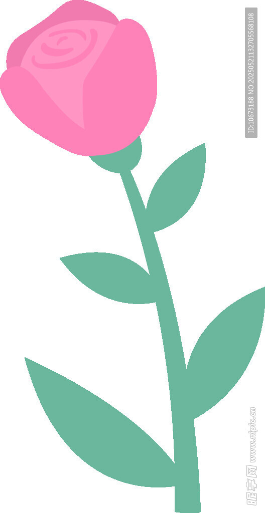粉色玫瑰插画