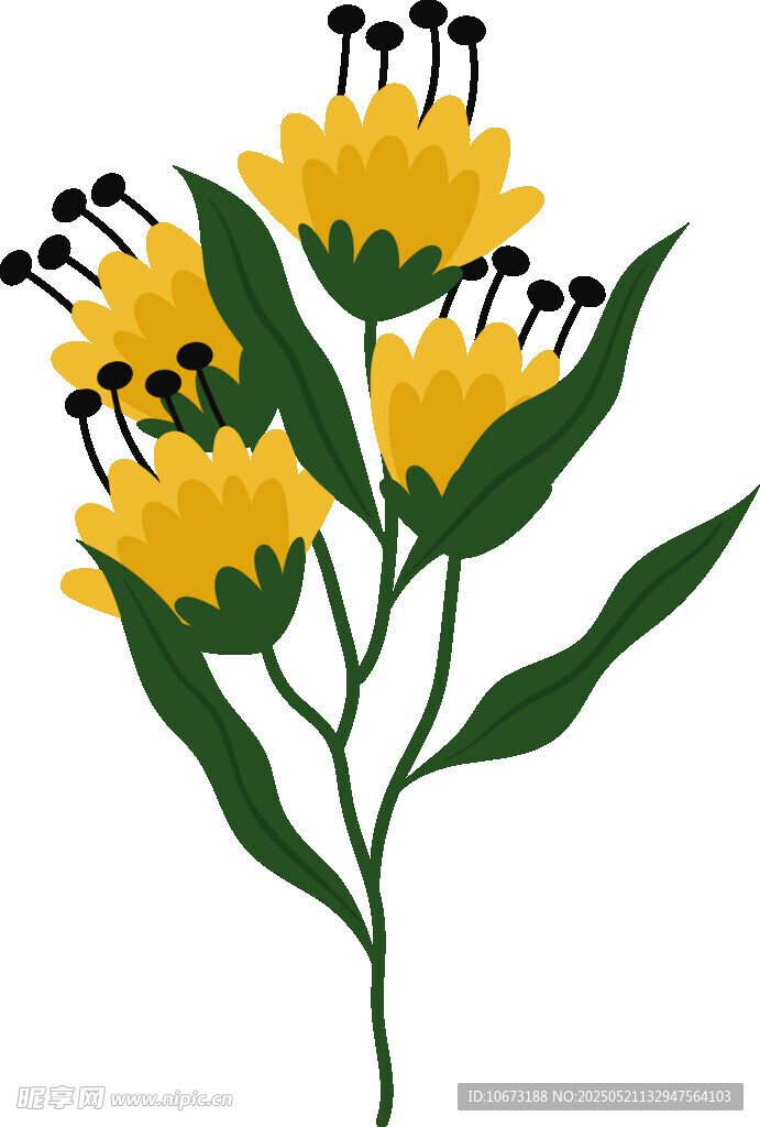 黄色花卉插画
