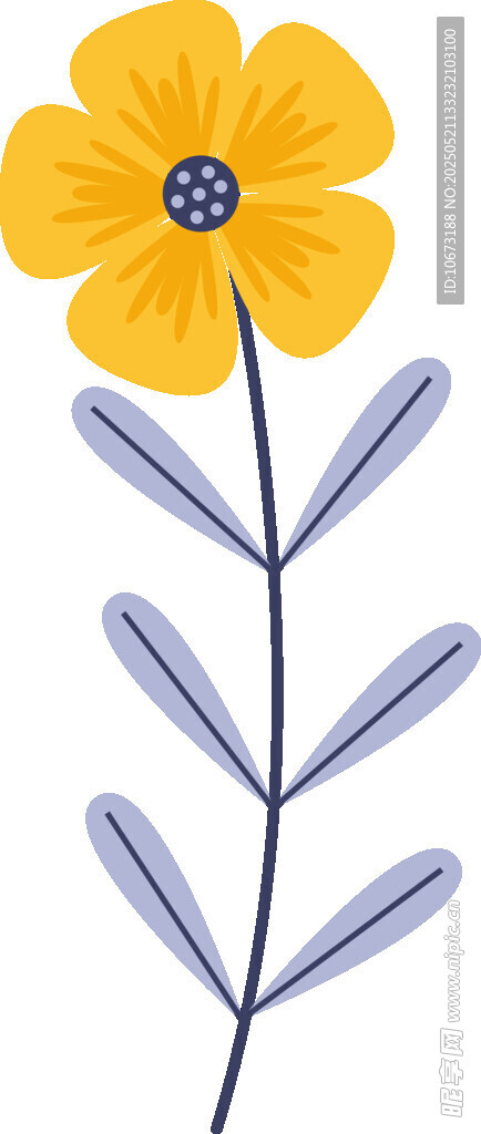 黄色花朵插画