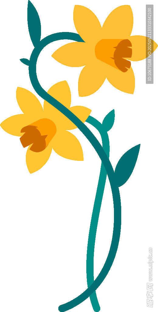 黄色水仙花朵插画