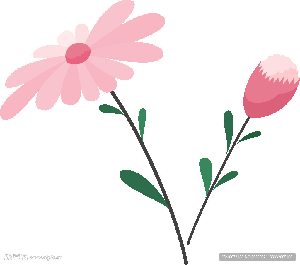 两朵粉色小花插画