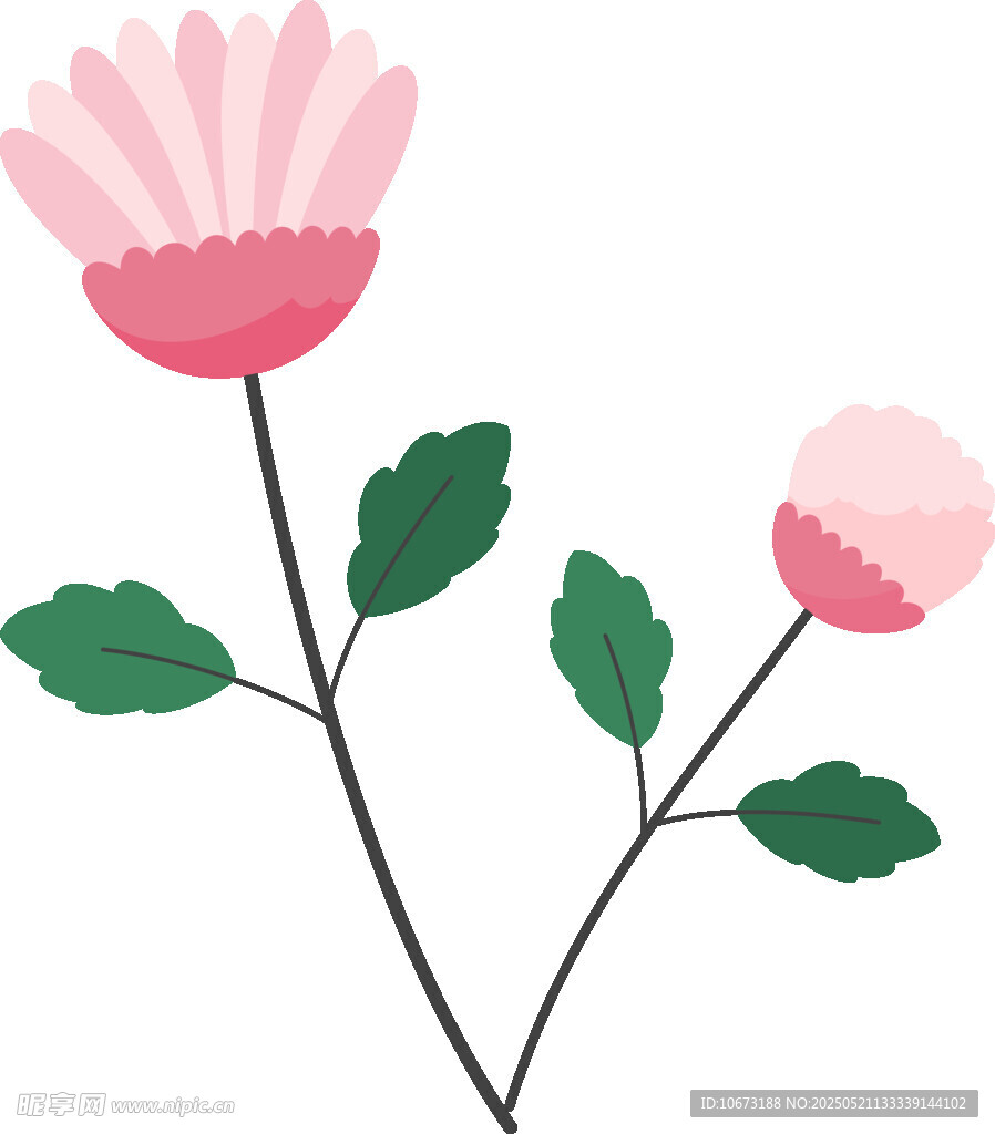 两朵粉色花朵插画