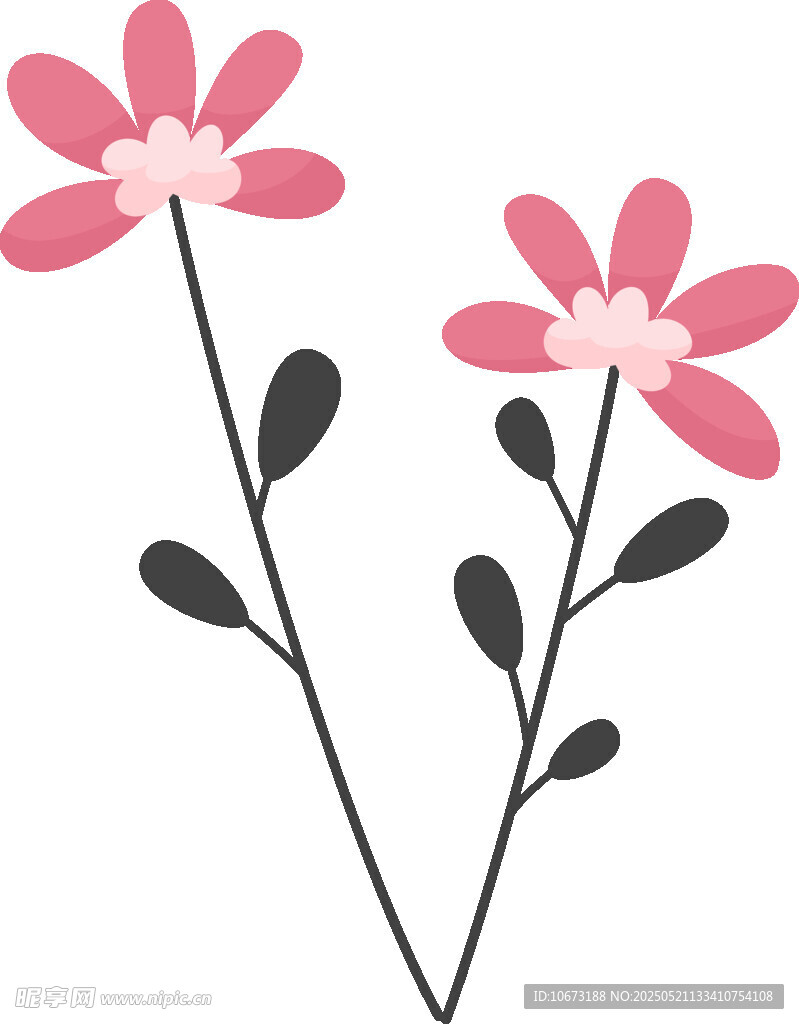 两朵简约粉色花朵插画