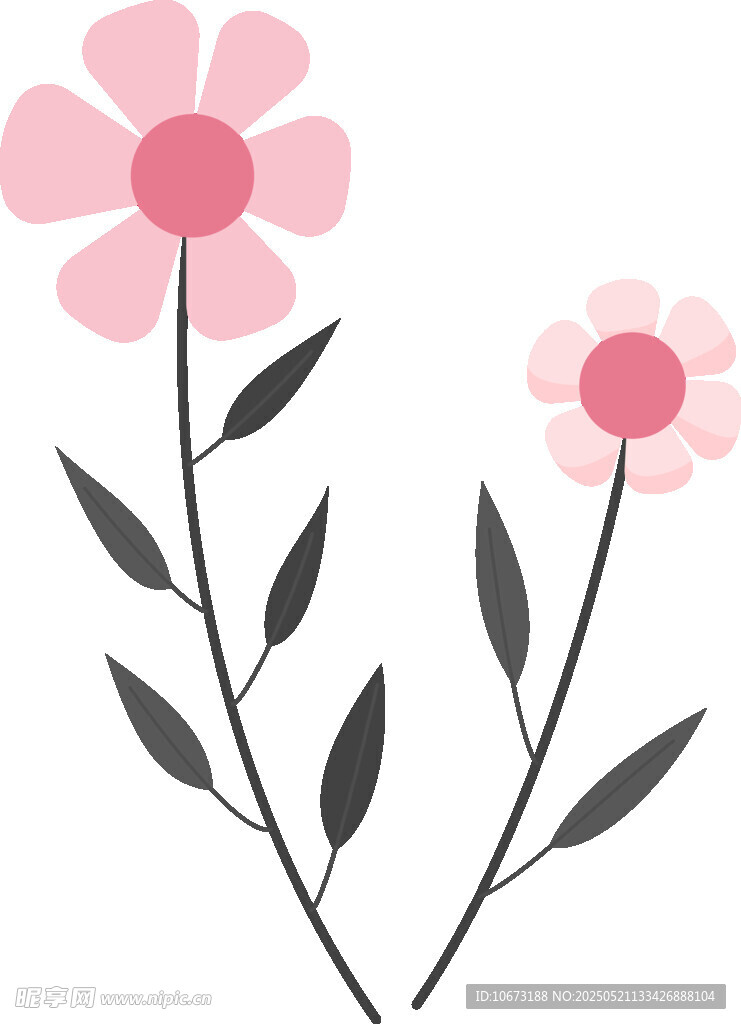 两朵简约粉色花朵插画