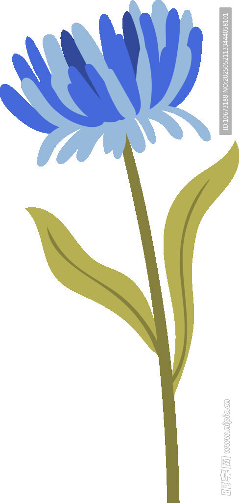 蓝色花朵插画