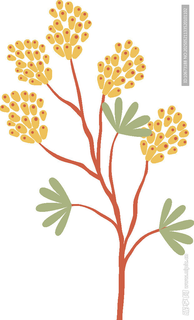 黄色花卉植物插画