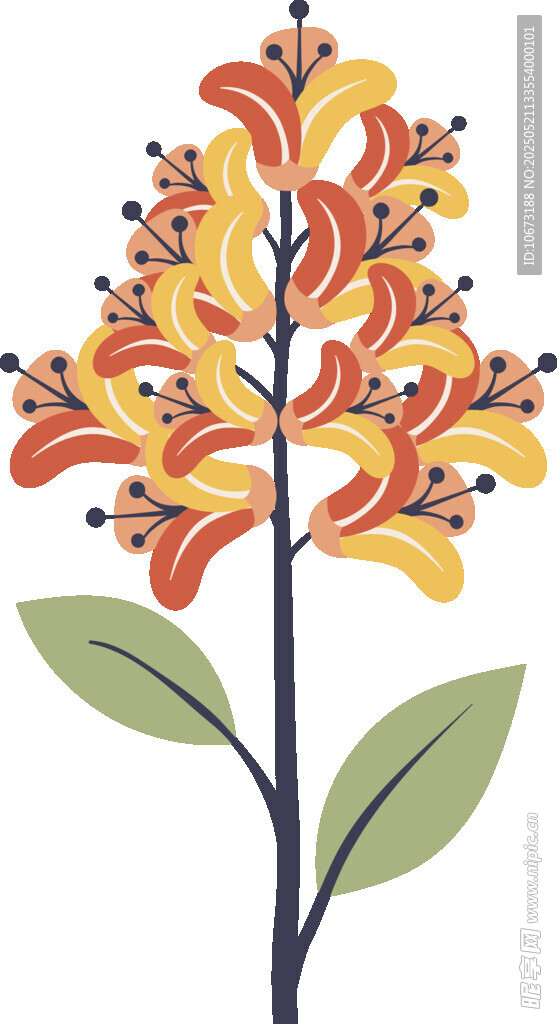 多彩花卉插画
