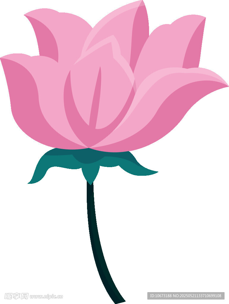 粉色莲花插画