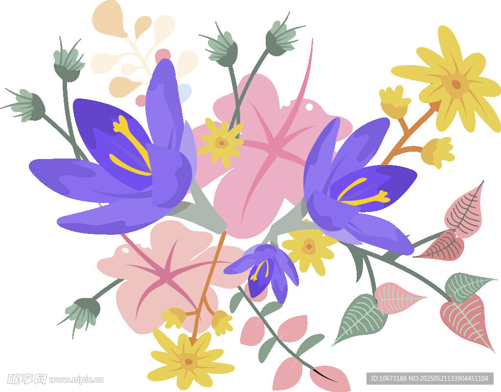 多彩花卉插画