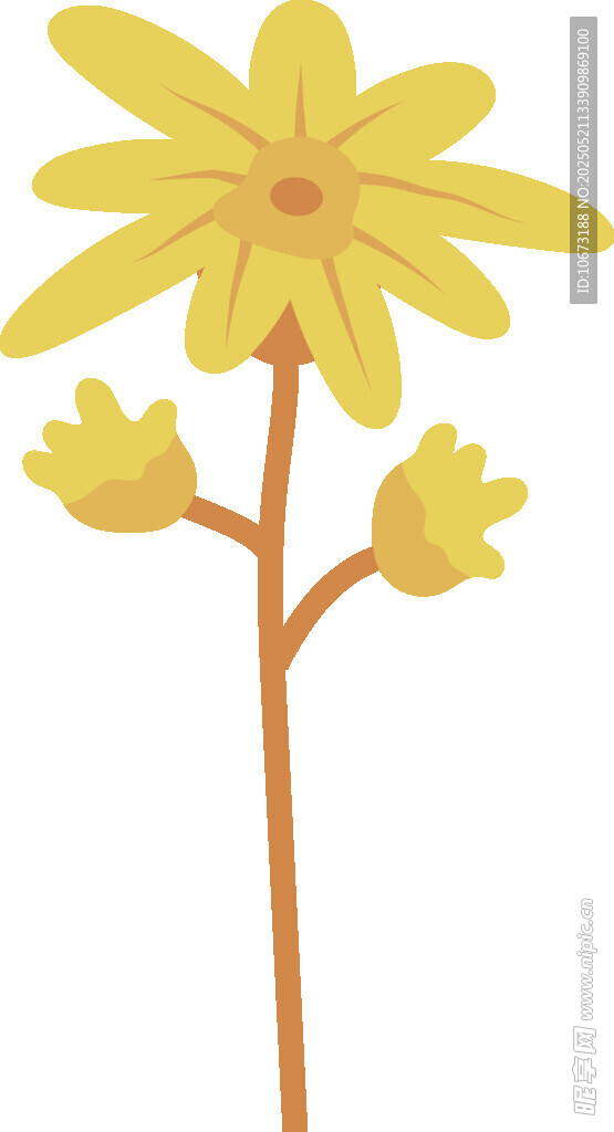 黄色小花插画