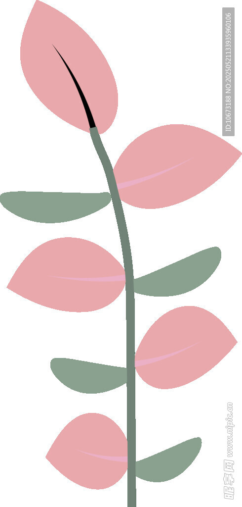 粉色叶片植物插画