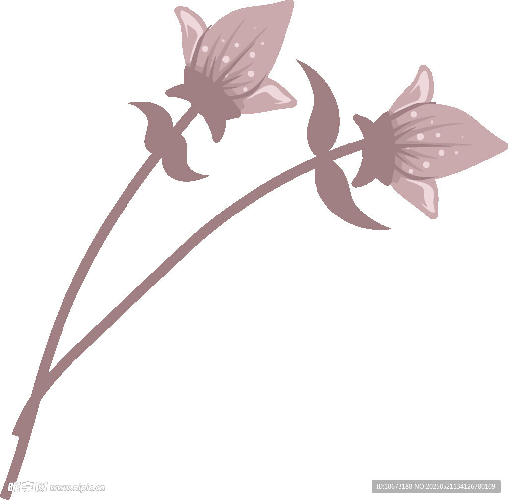 两朵淡紫色风铃花插画