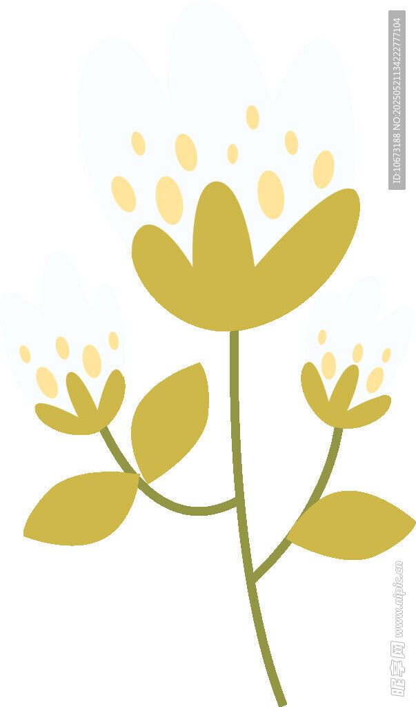 黄色花卉植物插画