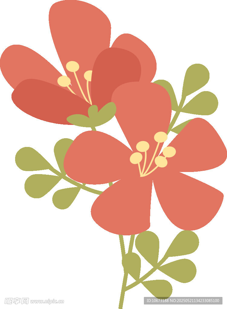 红色花卉插画