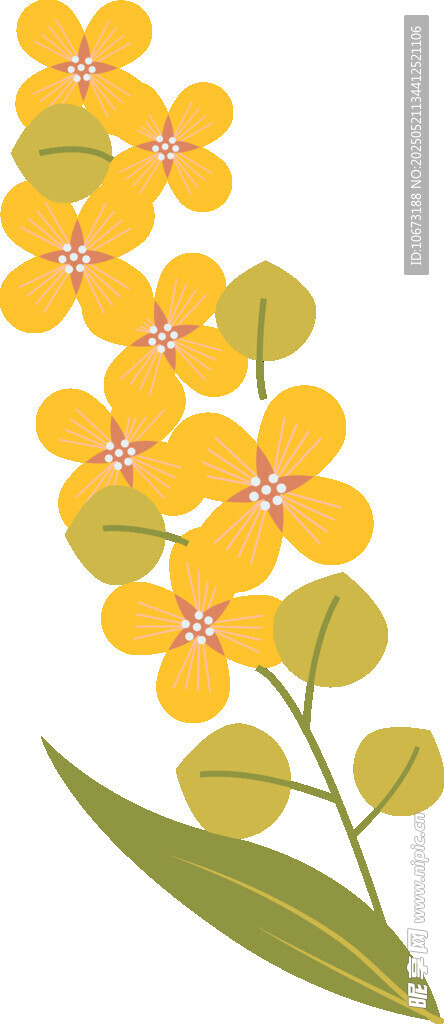 黄色花卉插画