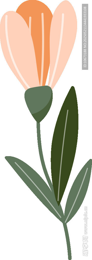 简约手绘花朵插画