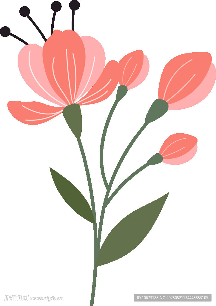 粉色花朵插画