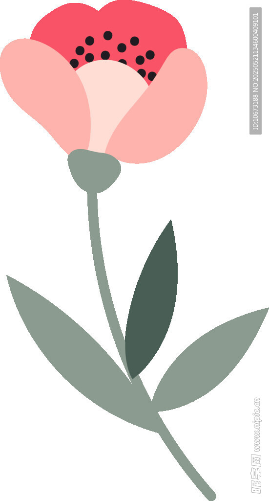 粉色花朵插画