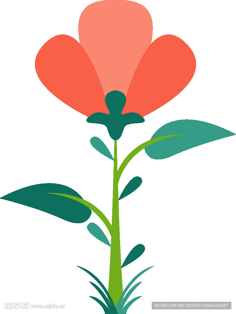 简约花朵插画
