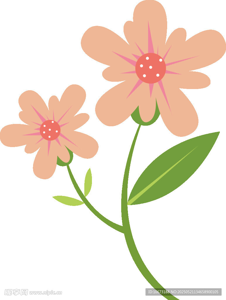 两朵粉色小花插画