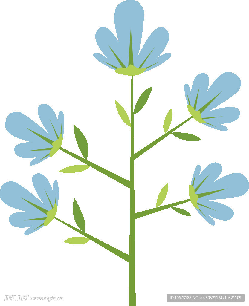 蓝色小花插画
