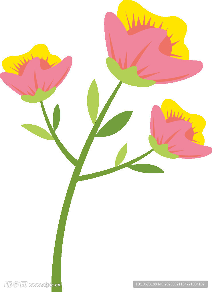三朵粉色花朵插画