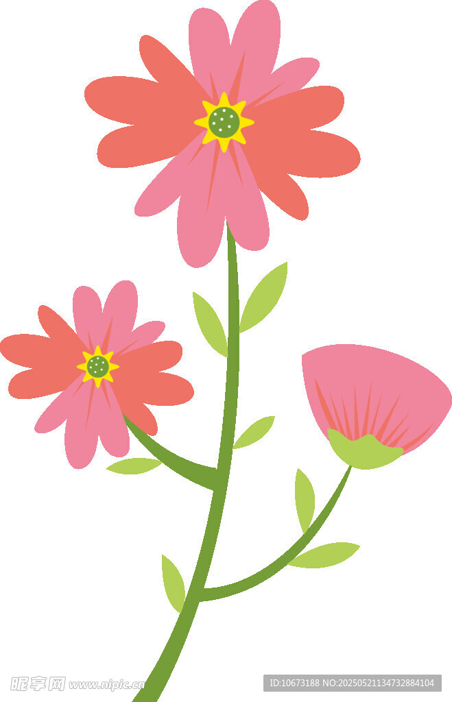 三朵粉色花朵插画