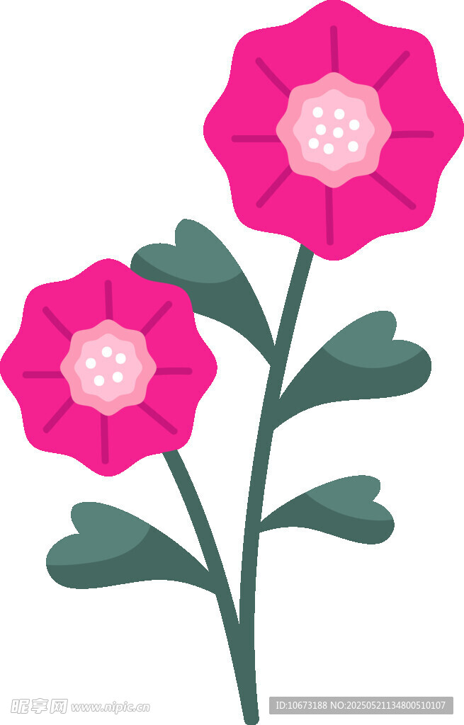 两朵粉色花朵插画