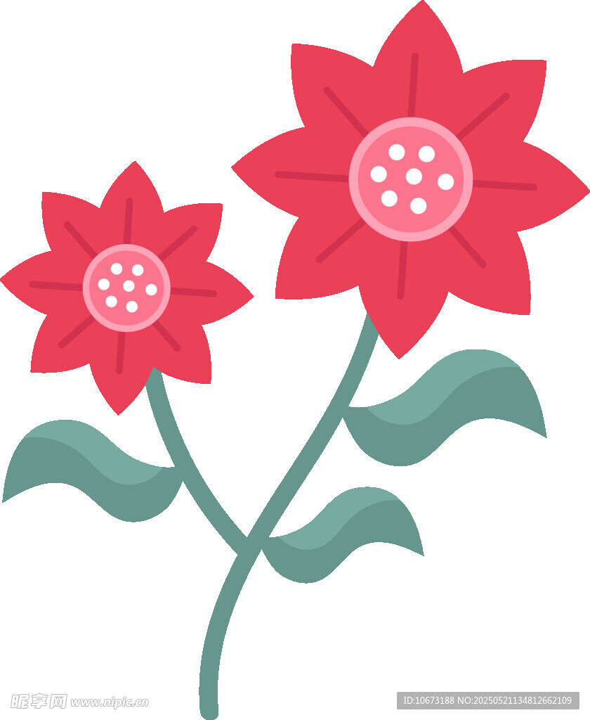 两朵红花插画