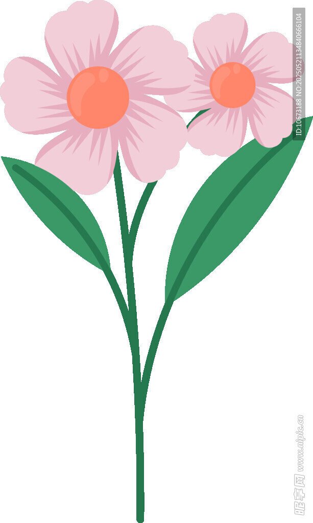 三朵粉色花朵插画