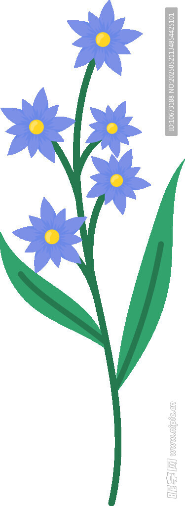 蓝色小花插画