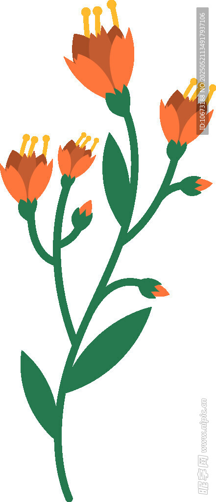 橙色花朵插画