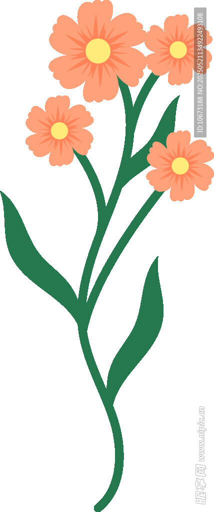橙色小花插画