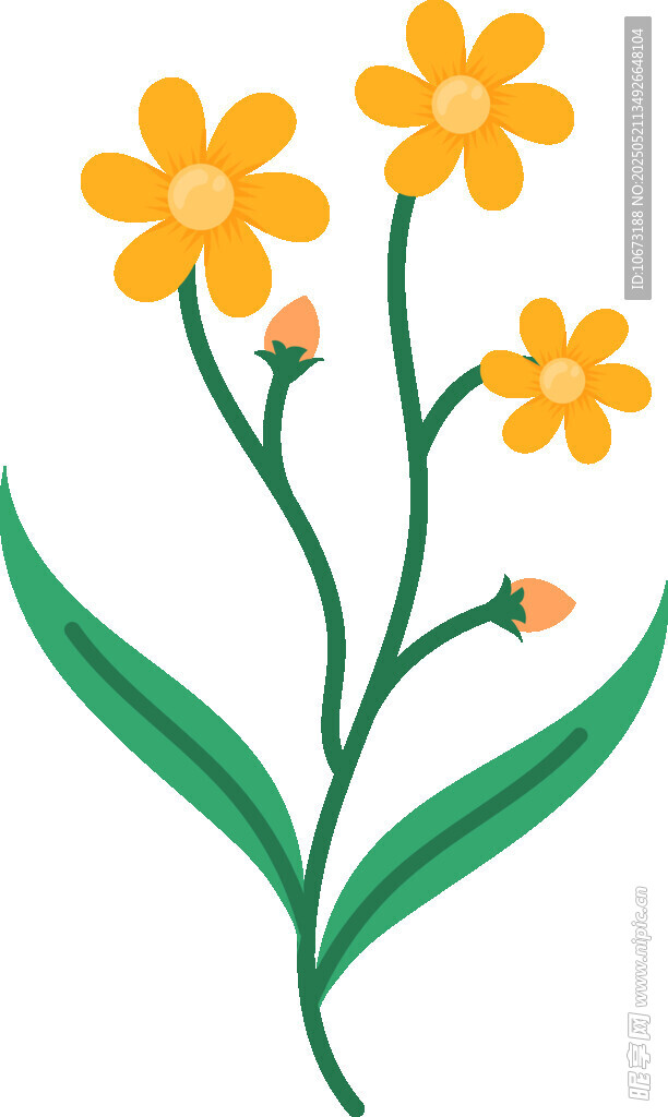 黄色小花插画