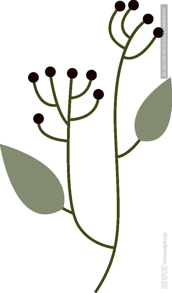 简约植物插画