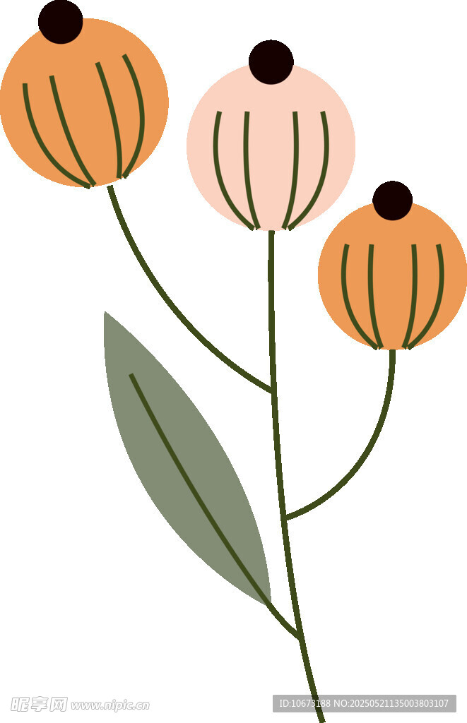 三朵简约花朵插画