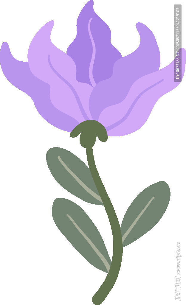 紫色花朵插画
