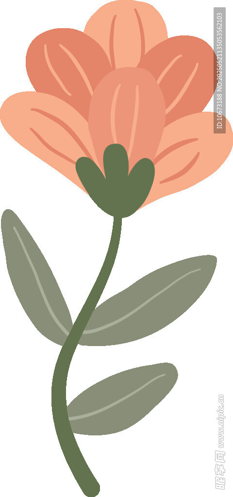 橙色花朵插画