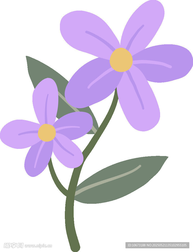 紫色小花插画