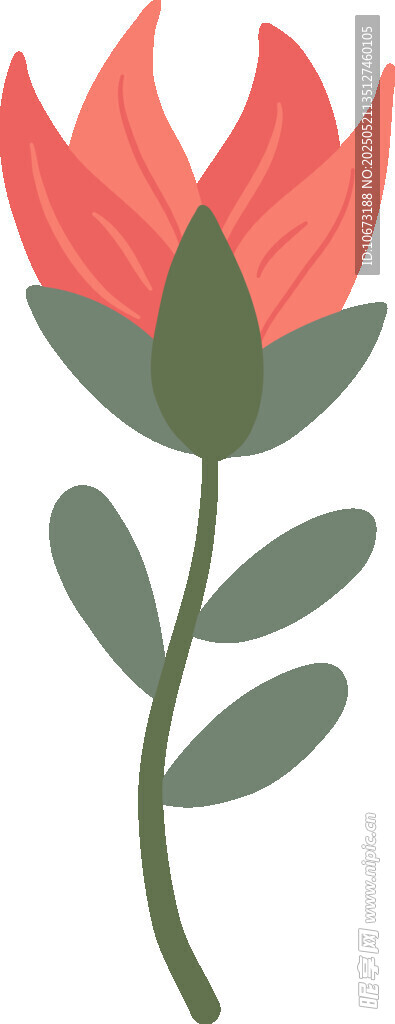 红色花朵插画