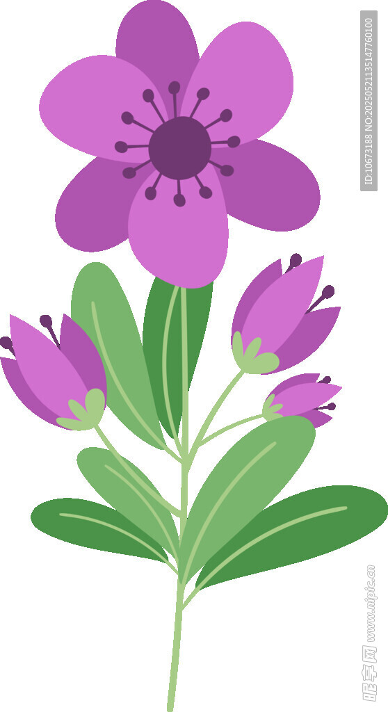 紫色花卉插画