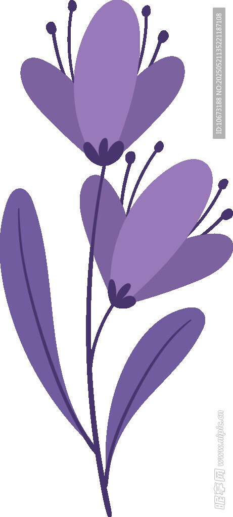 紫色花卉插画