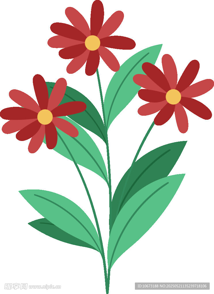 红色花朵插画