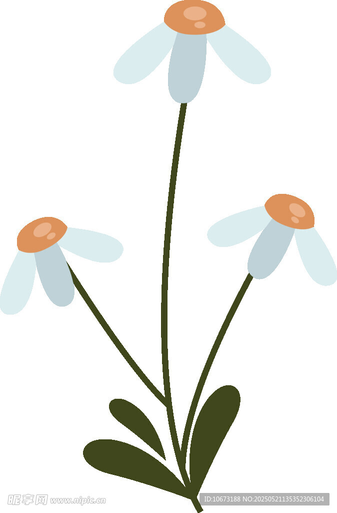三朵清新雏菊插画
