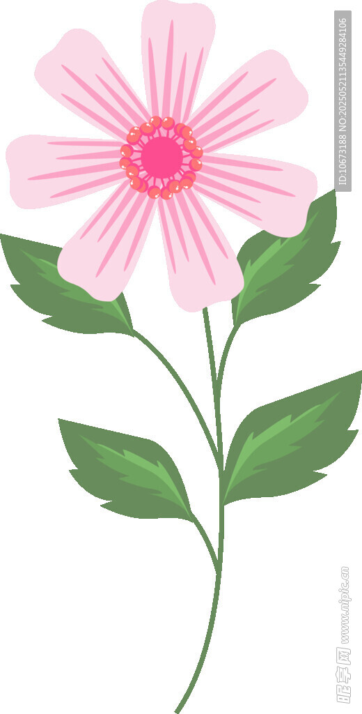 粉色花朵插画