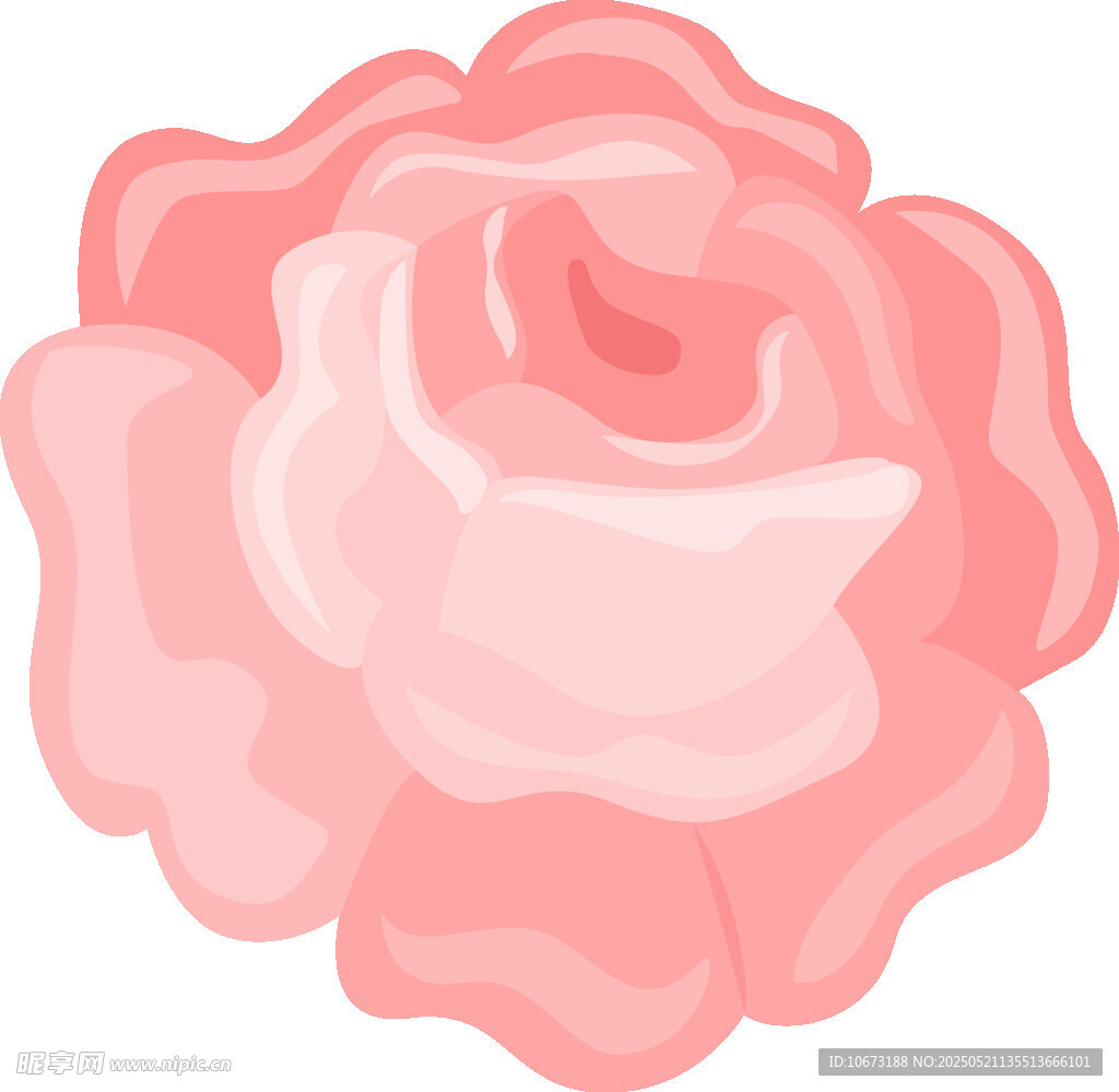 粉色柔美玫瑰花插画