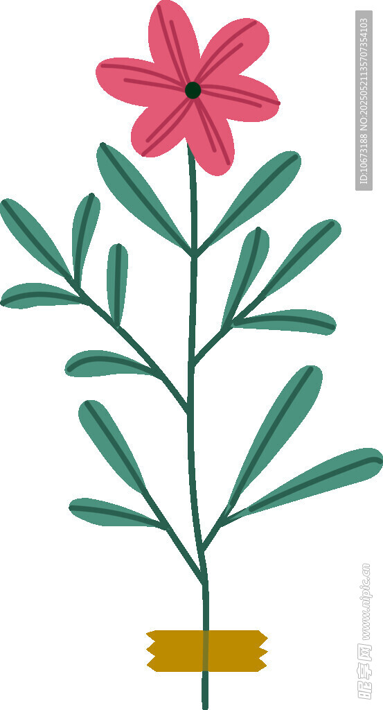粉色花朵绿植插画